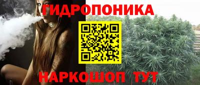 стаф Пугачёв