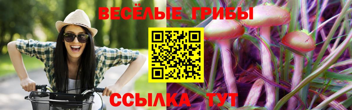 Галлюциногенные грибы GOLDEN TEACHER Пятигорск